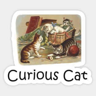 Curious Cat Sticker